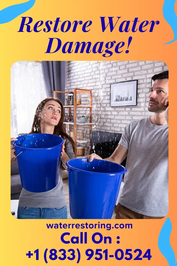 water restoration Shield Disaster Cleanup Specialists Salyersville