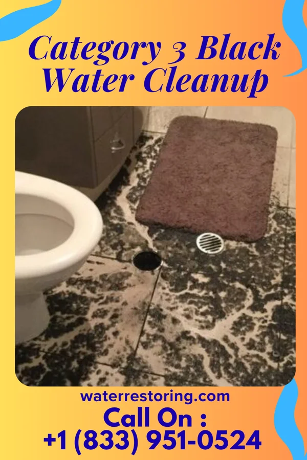 Category 3 Black Water Cleanup in Salyersville, KY