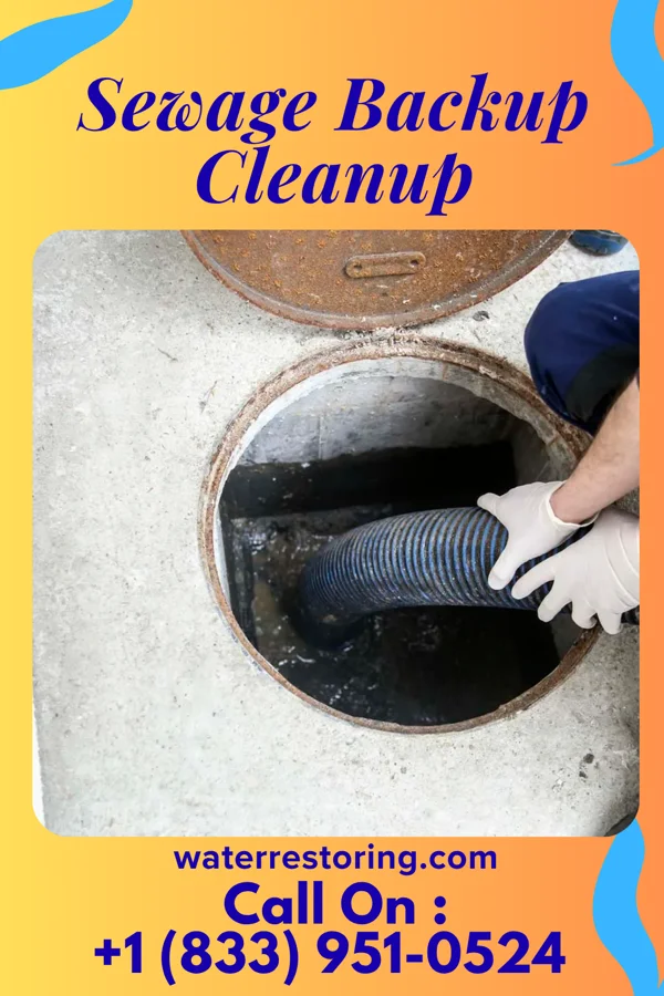 Sewage Backup Cleanup in Salyersville, KY