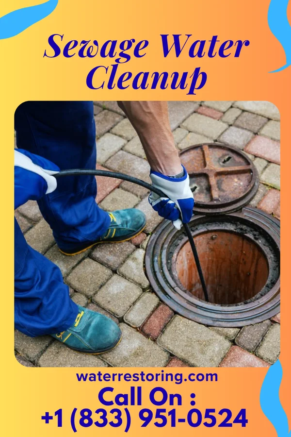 Sewage Water Cleanup in Salyersville, KY