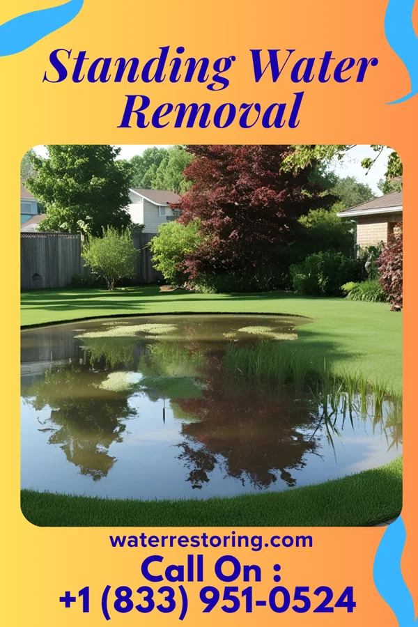 Standing Water Removal in Salyersville, KY